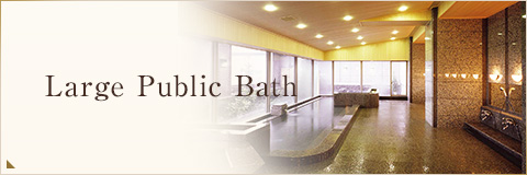 Large Public Bath